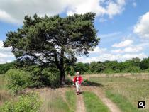 Trage Tocht Driedorp