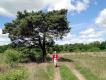 Trage Tocht Driedorp