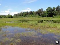 Trage Tocht Driedorp