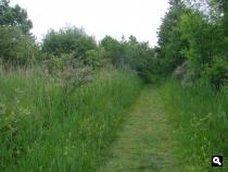Oostvoorne