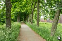 Dokkum, Schapedijkje