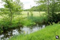 Landschap rond Wouterswoude