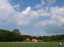 boerderij