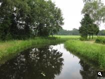 Groene Wissel Rosmalen