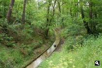 Coldenhovense Beek