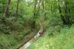 Groene Wissel Loenen