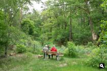 Coldenhovense Beek