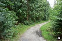 Loenense Bos
