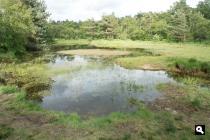 Appelse Heide, ven