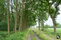 Oude Voorthuizerweg