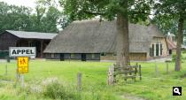 Appel, boerderij
