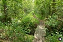 Het egelgat, de Veldbeek