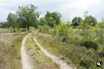 Landgoed Gerven, heide
