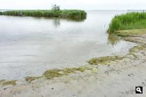 Lauwersmeer, strandje