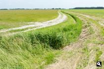 Monnikebildtpolder