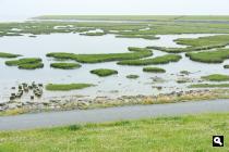 Waddenzee