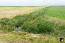Seeryperpolder