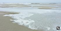Noordzeestrand