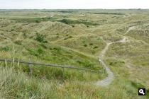 Landerumer Heide