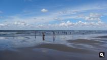 Groene Wissel Hoek van Holland-Haven