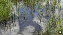 Groene Wissel Hoek van Holland-Haven