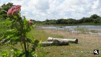 Groene Wissel Hoek van Holland-Haven