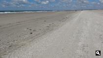 Groene Wissel Hoek van Holland-Haven