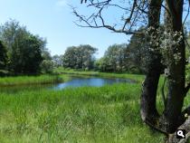 Groene Wissel Zandvoort