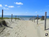 Groene Wissel Zandvoort