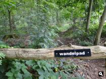 Trage Tocht Slingeplas