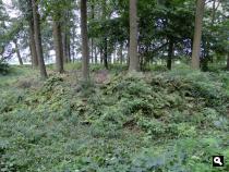 Trage Tocht Slingeplas