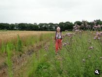 Trage Tocht Slingeplas