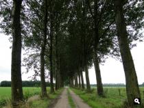 Trage Tocht Slingeplas