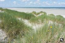 Noordzeestrand