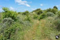 Natuurgebied Hagedoornveld