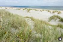 Oosterstrand
