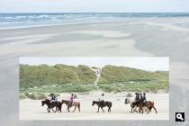 Noordzeestrand