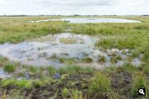 Polder Eijerland