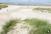 De Slufter, duinen