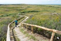 Duinen Bertus Nol