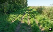 De Witte Hoek, bosrand