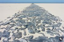 Noordzeestrand