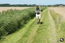 Natuurreservaat De Roggesloot