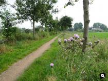 Trage Tocht Alphen