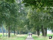 Trage Tocht Alphen