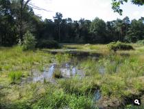 Groene Wissel Geldrop