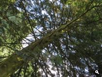 Groene Wissel Lunteren