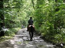 Trage Tocht Woudenberg
