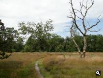 Trage Tocht Woudenberg