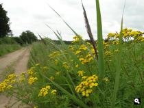 Trage Tocht Woudenberg
